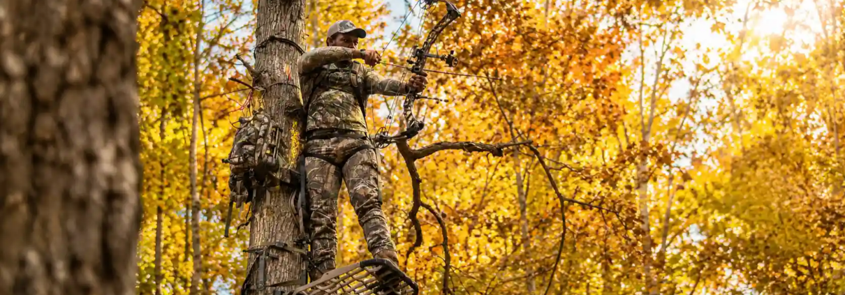 How to Improve Bow Accuracy at Longer Distances Without Guesswork