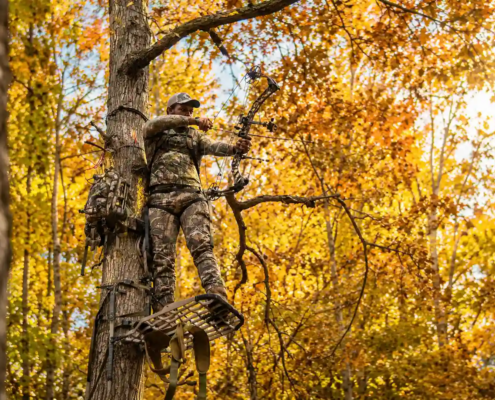 How to Improve Bow Accuracy at Longer Distances Without Guesswork