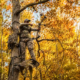 How to Improve Bow Accuracy at Longer Distances Without Guesswork