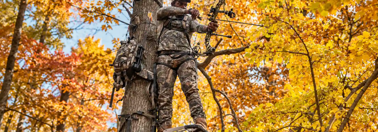 Why Your Broadheads Aren't Flying Straight And How to Fix It Fast