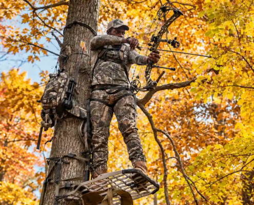 Why Your Broadheads Aren't Flying Straight And How to Fix It Fast